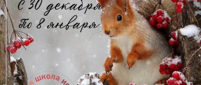 Зимние каникулы в Быковской ДШИ