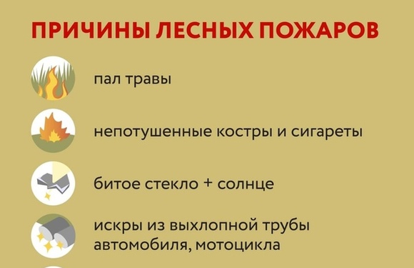 А вы знали, что искра из выхлопной трубы или разбитое стекло на солнце могут стать причиной пожара?