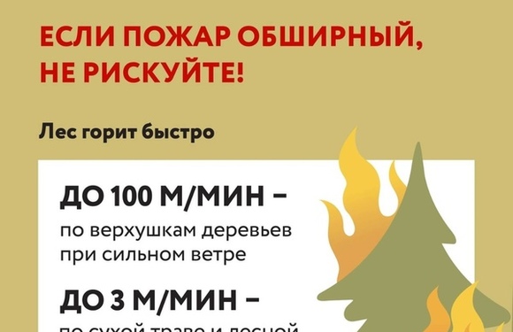 А вы знали, что искра из выхлопной трубы или разбитое стекло на солнце могут стать причиной пожара?