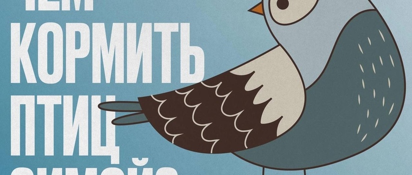 Как подкармливать пернатых зимой?